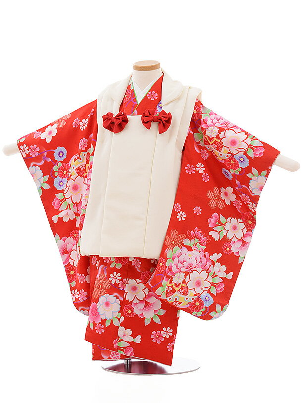 七五三 着物 3歳 レンタル 七五三 3歳 被布 セット 3557 白×赤地 桜菊 女の子 七五三レンタル 3歳 女児 被布 七五三 三歳女児 被布コート 子供...