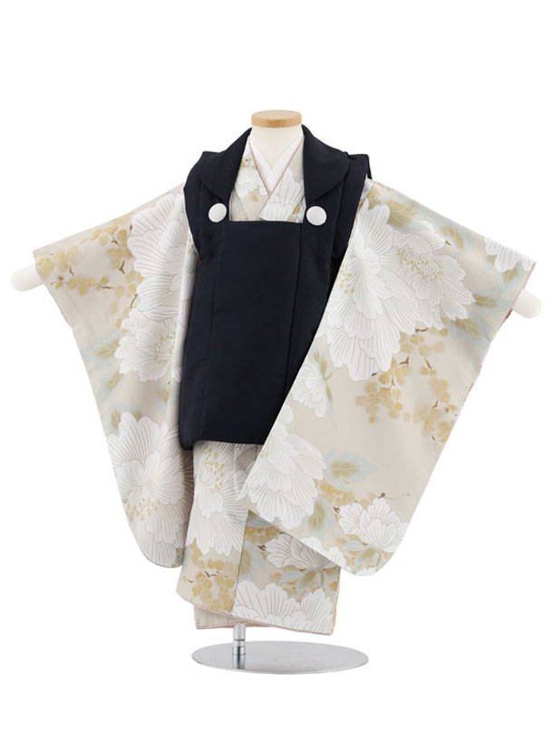 ڥ󥿥ʪ ޻󥿥(3˻)W545 ϡߥ١岴ð 3  ե륻å ˤλ ˤ  3 ˻ Υ󥿥̱...