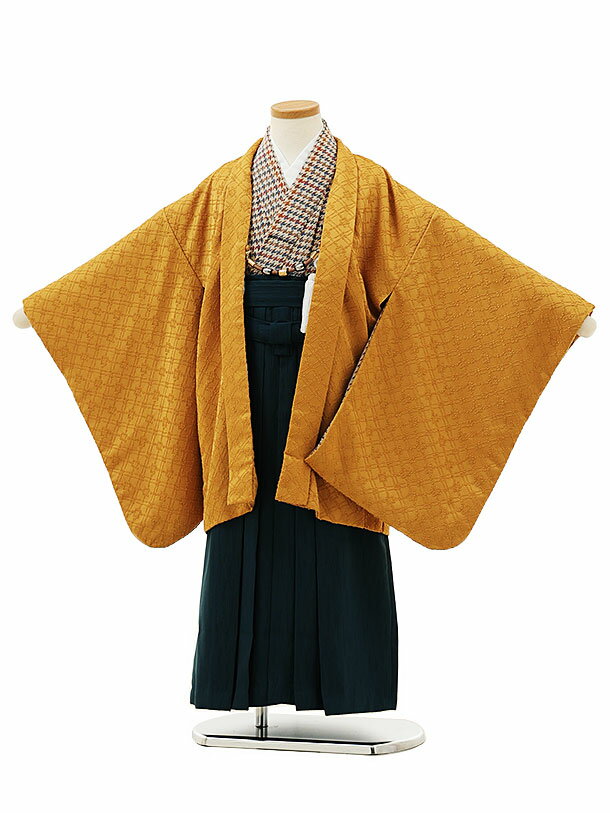 【レンタル】着物 かんたん七五三レンタル(5歳男袴)X205からしxグリーン袴 5歳 袴（簡単着付け） フルセット 男の子 お祝い着 正月 5才 男児 きものレンタル〔往復送料無料〕