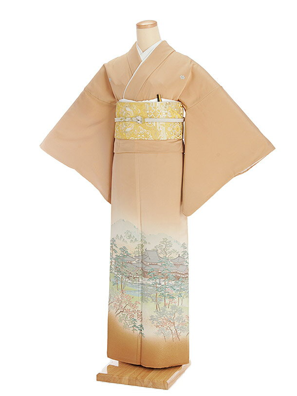 レンタル 五つ紋 色留袖 正絹 色留袖 594 枯草色 親族 結婚式 往復送料無料 食事会 表彰式 色留め袖レンタル 姉 着物 祖母 式典 人気 新品足袋プレゼント レンタル とめそで トメソデ 女性和服 貸衣装 留袖 フルセット【レンタル】