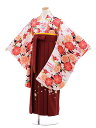 【レンタル】小学生卒業式袴レンタル(女の子)9647白地桜×エンジ桜袴〔袴レンタル小学校卒業式〕〔卒業式袴セット小学生〕〔小学校卒業式〕〔袴セット〕〔往復送料無...
