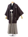 成人式 レンタル 紋付き袴 男袴 成人式レンタル 卒業式 男性用袴 men0079 グレー星×白黒 M 紋服 メンズ袴 フルセット 往復送料無料 羽織袴レンタル...