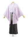 【レンタル】(男性袴 レンタル)〔レンタル 紋付き袴 〔成人式 レンタル 男性用袴レンタル1AF0171 ラベンダー x 白黒縞袴(L)/170〜175〔成人式...