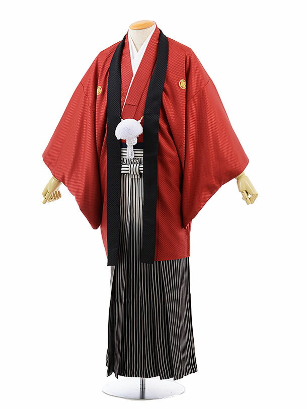 【レンタル】(男性袴 レンタル)〔レンタル 紋付き袴 〔成人式 レンタル 男性用袴レンタル1AF0172 赤黒 x 白黒シルバー 縞袴(L)/170〜175〔成...