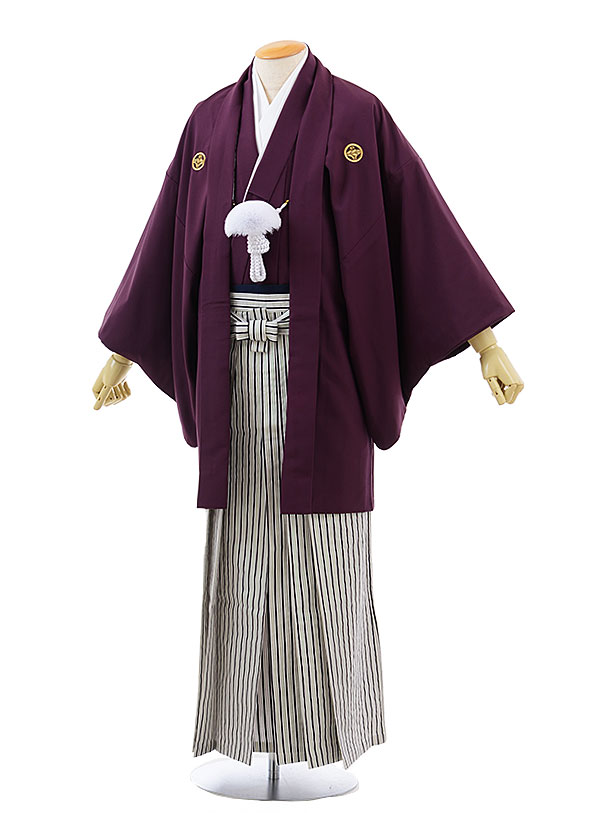 【レンタル】(男性袴 レンタル)〔レンタル 紋付き袴 〔成人式 レンタル 男性用袴レンタル1AF0175 パープル x 白黒ラメ縞袴(L)/170〜175〔成人...