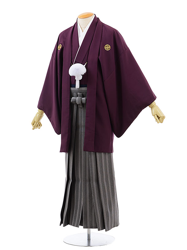 【レンタル】(男性袴 レンタル)〔レンタル 紋付き袴 〔成人式 レンタル 男性用袴レンタル1AF0191 パープルx黒グレー 市松縞袴(M)/165〜170〔成...