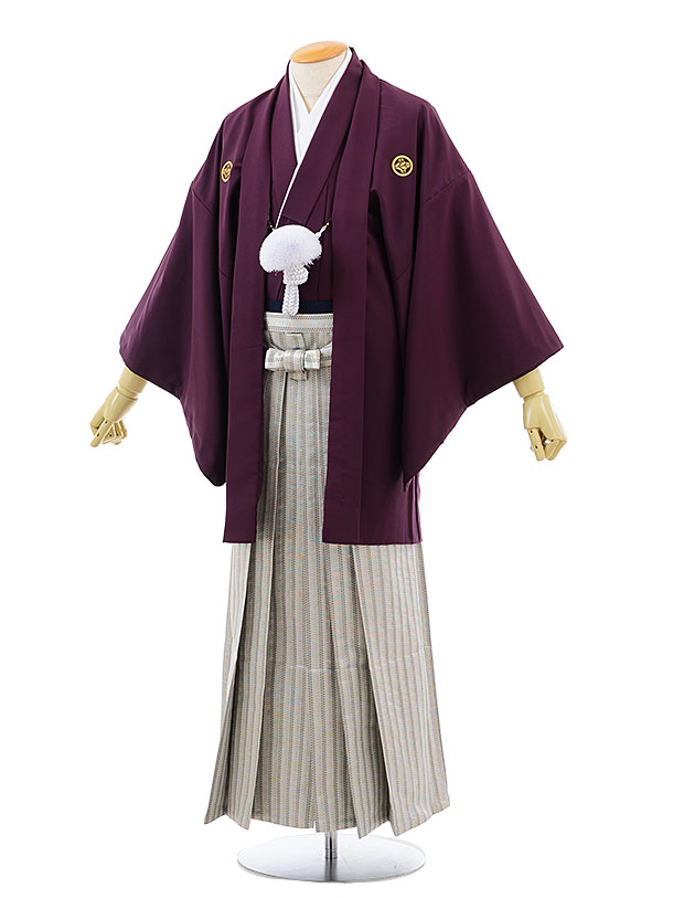 【レンタル】(男性袴 レンタル)〔レンタル 紋付き袴 〔成人式 レンタル 男性用袴レンタル1AF0192 パープルx白 グリッター 袴(M)/165〜170〔成...