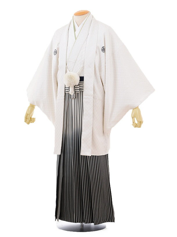 【レンタル】(男性袴 レンタル)〔レンタル 紋付き袴 〔成人式 レンタル 男性用袴レンタル1AFD007 白ゴールド刺子紋付×シルバー黒ぼかし袴〔成人式 袴 レ...