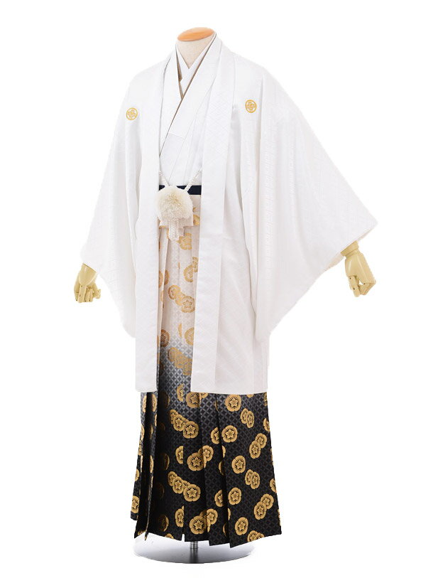 【レンタル】(男性袴 レンタル)〔レンタル 紋付き袴 〔成人式 レンタル 男性用袴レンタル1AFD012 白紋付×ゴールド黒ぼかし袴〔成人式 袴 レンタル 男 ...