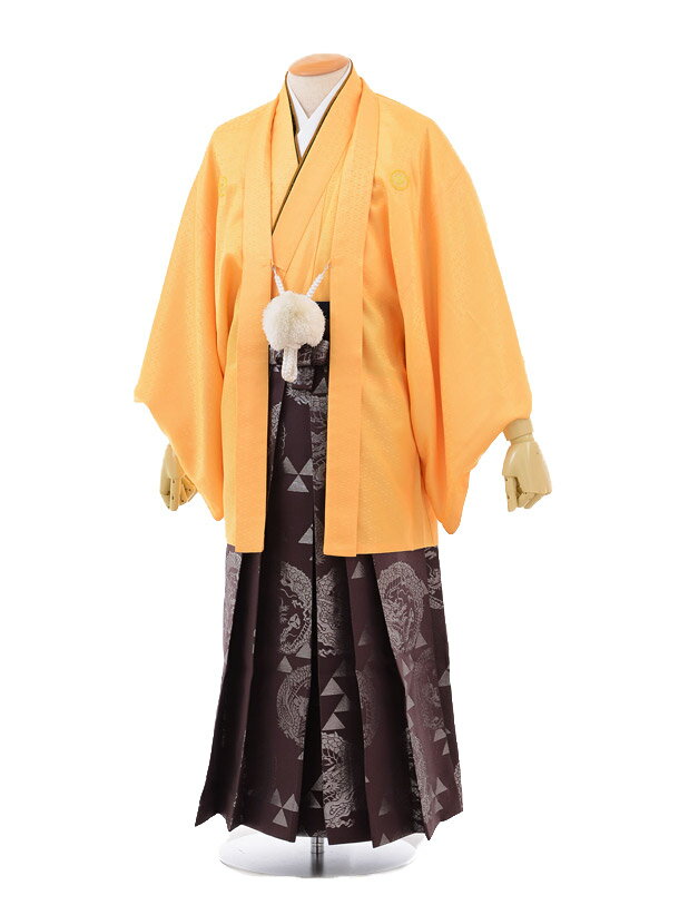 【レンタル】(男性袴 レンタル)〔レンタル 紋付き袴 〔成人式 レンタル 男性用袴レンタル1AFD030 オレンジ紋付×紫龍袴〔成人式 袴 レンタル 男 〔結婚...