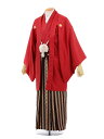 【レンタル】〔紋付羽織袴 (男性袴 レンタル)〔レンタル 紋付き袴 〔成人式 レンタル 男性用袴レンタル1AFD032 赤紋付×黒ゴールド袴〔成人式 袴 レンタ...