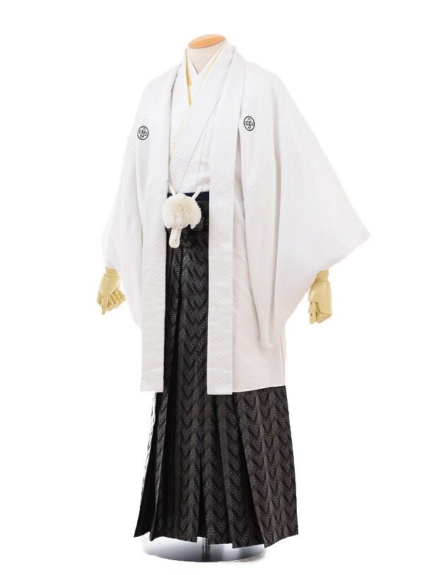 【レンタル】(男性袴 レンタル)〔レンタル 紋付き袴 〔成人式 レンタル 男性用袴レンタル1AFD033 白ゴールド菱紋付×黒袴〔成人式 袴 レンタル 男 〔結...