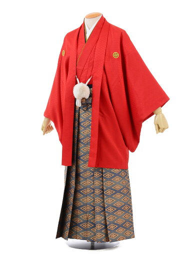 【レンタル】〔紋付羽織袴 〔レンタル 紋付き袴 (男性袴 レンタル)〔成人式 レンタル 男性用袴レンタル1AFD037 赤紋付×ゴールド菱袴〔成人式 袴 レンタル 男 〔結婚式 〔メンズ袴 〔新郎袴 〔成人式 〔フルセット 【往復送料無料】 【レンタル】〔紋付羽織袴 〔レンタル 紋付き袴 (男性袴 レンタル)〔成人式 レンタル 男性用袴レンタル1AFD037 赤紋付×ゴールド菱袴〔成人式 袴 レンタル 男 〔結婚式 〔メンズ袴 〔新郎袴 〔成人式 〔フルセット 【往復送料無料】