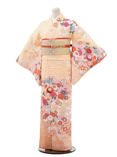 訪問着 レンタル 結婚式 tc716 H・L オレンジ地 菊 新品足袋プレゼント 訪問着 レンタル 入学式 結婚式 お宮参り 衣装 着物 レンタル 付下げ 訪問着 レンタル 訪問着 往復送料無料 訪問着 セット 貸衣装 【レンタル】 訪問着 レンタル 結婚式 tc716 H・L オレンジ地 菊 新品足袋プレゼント 訪問着 レンタル 入学式 結婚式 お宮参り 衣装 着物 レンタル 付下げ 訪問着 レンタル 訪問着 往復送料無料 訪問着 セット 貸衣装 【レンタル】