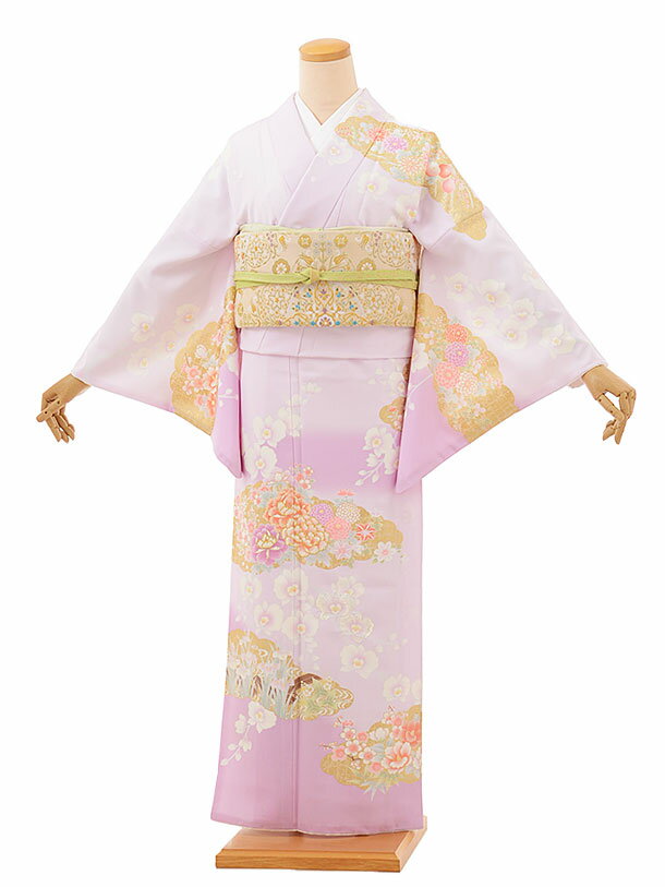 ˬ�����󥿥�tc855 ���ѡ��ץ��� ������(����) ����­�ޥץ쥼��� ˬ���� ��󥿥롡���ؼ� �뺧�� ���ܻ��� ���� ��ʪ ��󥿥� �ղ��� ˬ���� ...