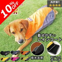 はっぴーDOG 犬 レインコート