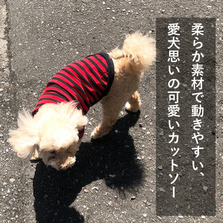 犬 服 犬服 犬の服 ドッグウェア 犬用品 ペットウェア 洋服 ボーダー カットソー Tシャツ ユニオンジャック 可愛い おしゃれ 通販 洋服 かわいい ペット服 激安 小型犬・中型犬・大型犬 抜け毛防止 【メール便送料無料】 【秋冬 冬 冬服 あったか】