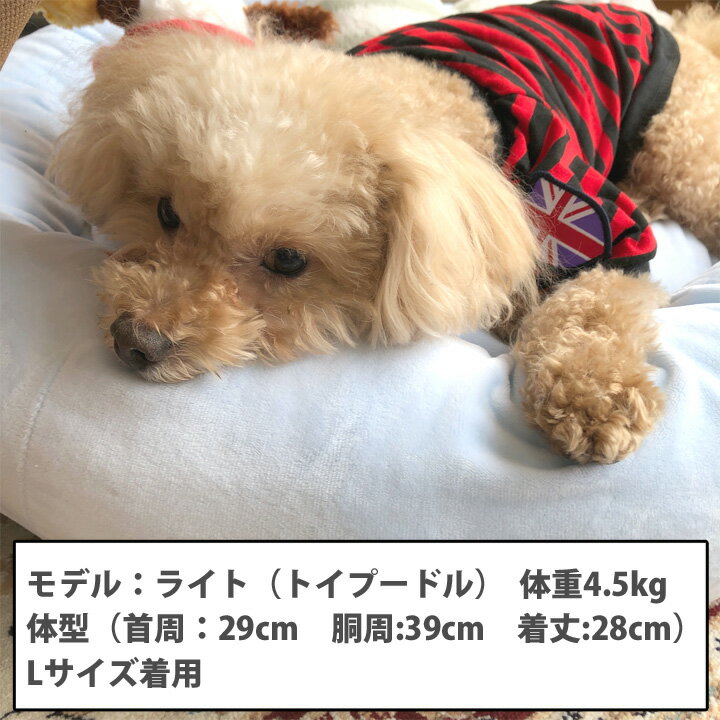 犬 服 犬服 犬の服 ドッグウェア 犬用品 ペットウェア 洋服 ボーダー カットソー Tシャツ ユニオンジャック 可愛い おしゃれ 通販 洋服 かわいい ペット服 激安 小型犬・中型犬・大型犬 抜け毛防止 【メール便送料無料】 【秋冬 冬 冬服 あったか】