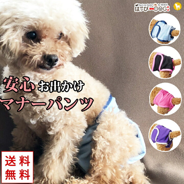 【スーパーSALE割引】 犬 服 犬服 犬の服 犬トイレ 服 犬の服 ドッグウェア 洋服 マナーカバー マナーパンツ マナーベルト マナーバンド おむつ オムツ おしっこ対策 可愛い おしゃれ 通販 かわいい ペット服 激安 ドライブ 【メール便送料無料】 【秋冬】