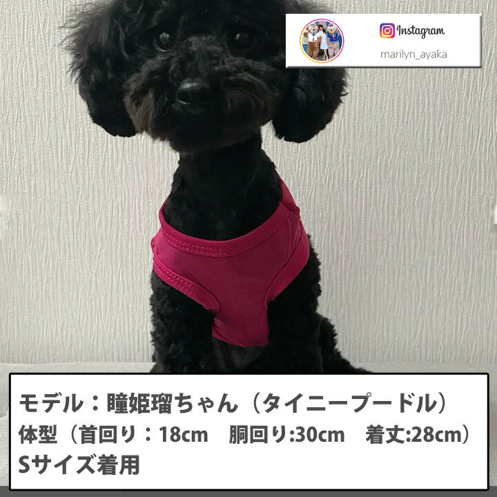 【ワンコイン500円】犬 服 犬服 いぬ 犬の服 いかりプリント タンクトップ 袖なし 袖無し 涼しい ドッグウェア 【春 夏 春夏 春服 夏服 春物 夏物 夏用】【男の子 小型犬 中型犬】