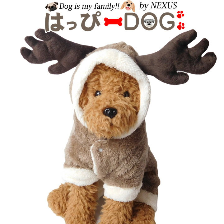 暖かくて可愛い！中型犬用のクリスマスコスプレのおすすめを教えて！