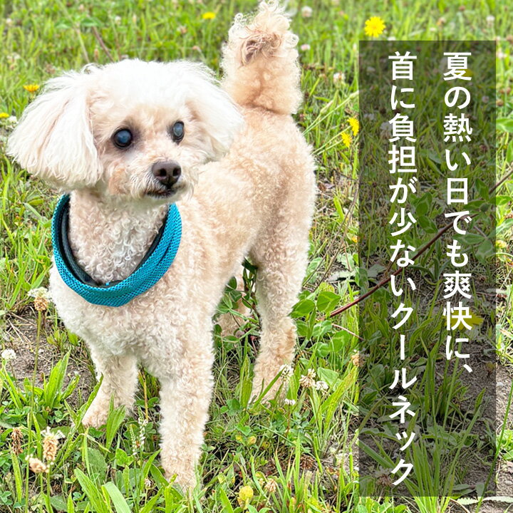 ＼8%OFFクーポン／ 軽量クールネック 犬暑さ対策グッズ クールネック ネッククーラー ひんやり 冷却 バンダナ 熱中症対策 暑さ対策 犬 服 犬服 犬の服 【はっぴーDOG】【春 夏 春夏 春服 夏服 春物 夏物 夏用】