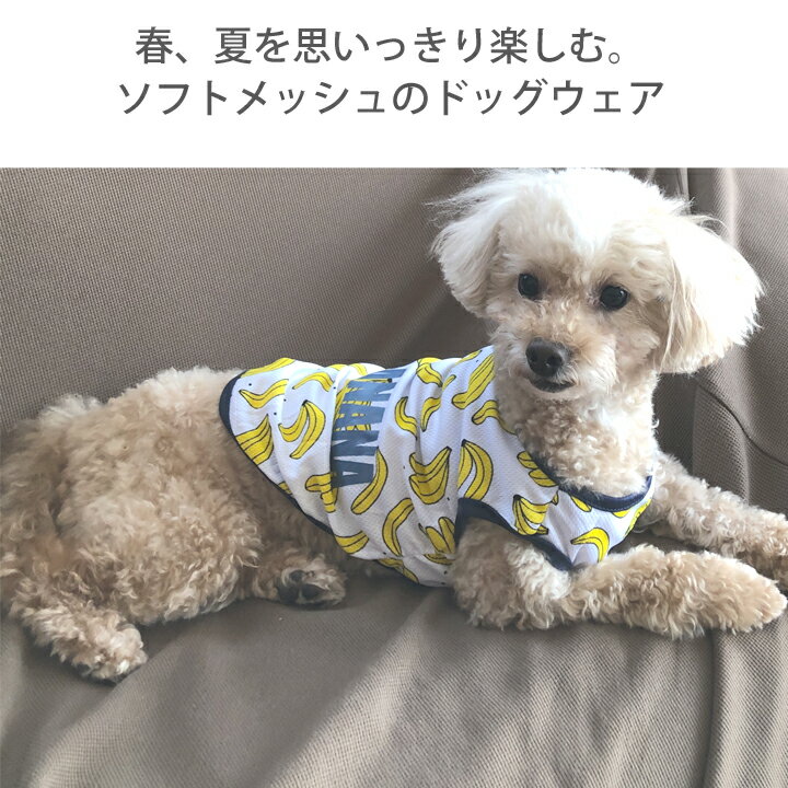 【わけあり品】 犬 服 ワンピース 春 かわいい 女の子 犬服 いぬ 犬の服 タンクトップ 袖なし 袖無し キャミソール フルーツ柄 ドッグウェア メッシュ 涼しい クール 【春 夏 春夏 春服 夏服 春物 夏物 夏用】【小型犬 中型犬】