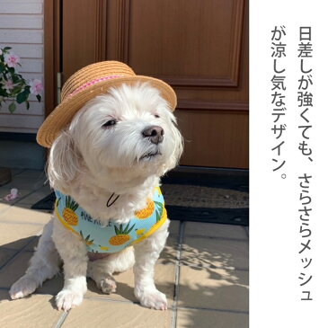 犬 夏服 メッシュ 涼しい クール 【楽天ランキング1位】 犬 服 犬服 いぬ 犬の服 タンクトップ ワンピース 袖なし 袖無し キャミソール ふりふり フルーツ柄 ドッグウェア ショート丈 かわいい 女の子 男の子 【春 夏 春夏 春服 夏服 春物 夏物 夏用】【 小型犬 中型犬 】