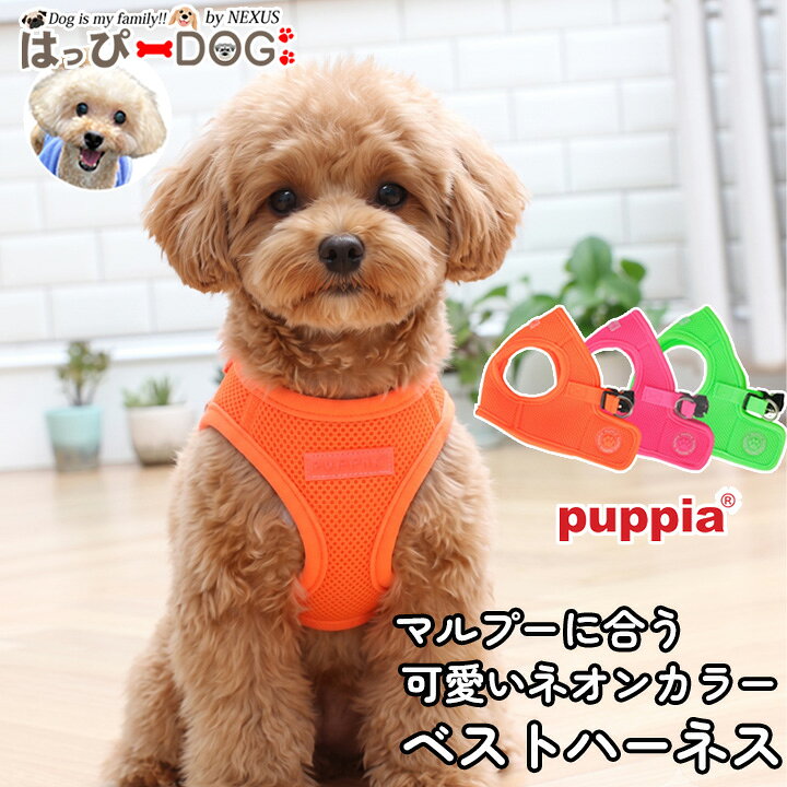 楽天市場】ネオンカラー（首輪・胴輪・リード｜犬用品）：ペット