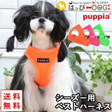 ϡͥ   ôʤ  淿 Ҹ ѥԥ PUPPIA İ ϡͥ Υϡͥ 餫 ٥ȥϡͥ ѥԡ Ķ ˾ ñ ȴʤ æʤ ƹ ˥ ڽ  ղ   ʪ ʪ 