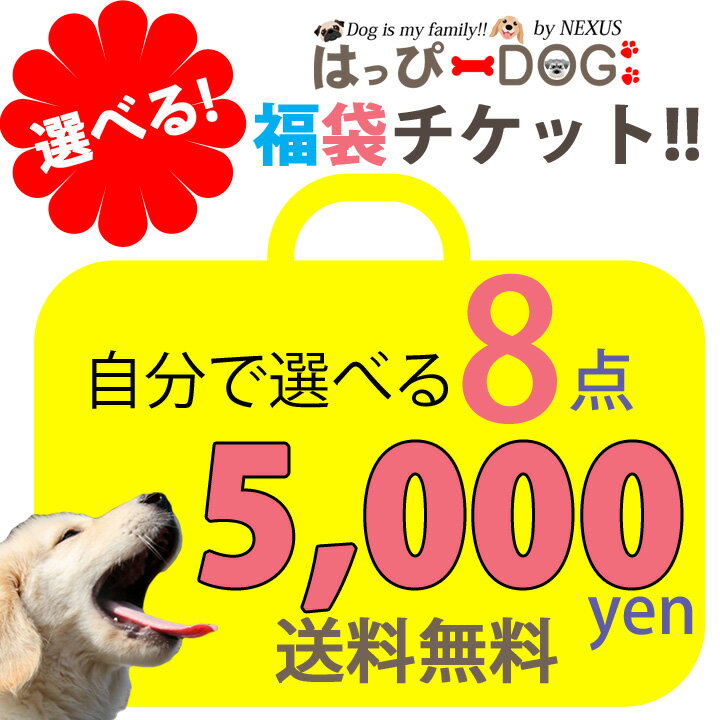 ＼300円クーポン／ 【はっぴーDOGのハッピー福袋】福袋 チケット 犬 服 犬服 犬の服 暖かい  ...