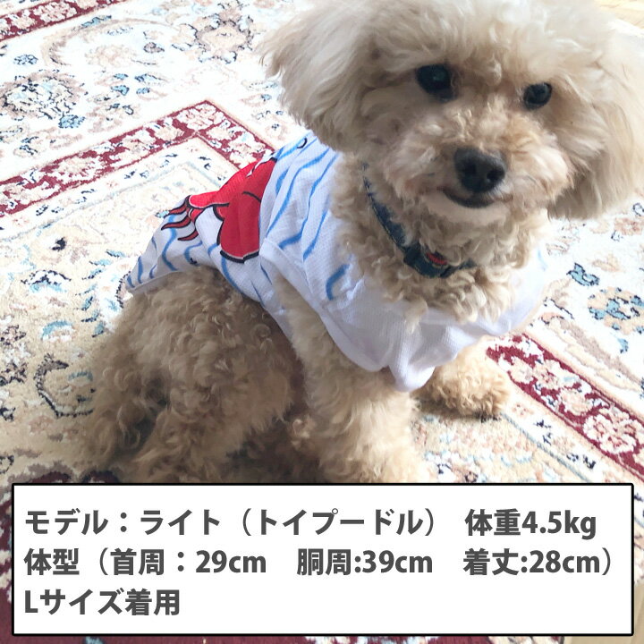 犬 服 【楽天ランキング1位】 犬服 いぬ 犬の服 タンクトップ 袖なし 袖無し カニ ライト メッシュ 涼しい クール ドッグウェア ショート丈 【春 夏 春夏 春服 夏服 春物 夏物 夏用】【男の子 小型犬 中型犬】