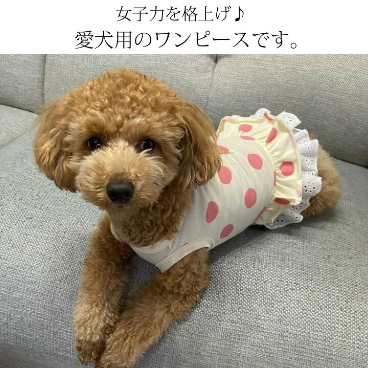 犬 服 ワンピース 春 かわいい 女の子 犬服 いぬ 犬の服 暖かい タンクトップ 袖なし 袖無し 涼しい フリル ふりふり ドット柄 レース ドッグウェア ショート丈 【秋 冬 秋冬 秋服 冬服 秋物 冬物 冬用】【福袋】【中型犬 サイズ】