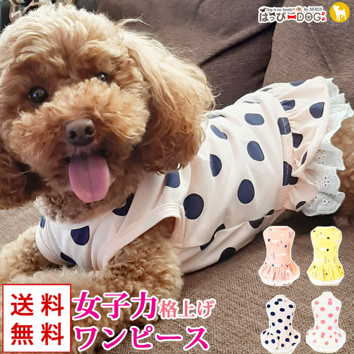 楽天はっぴーDOG！-可愛い犬服屋さん-トイプードル 犬 服 ワンピース 春 かわいい 女の子 犬服 いぬ 犬の服 タンクトップ 袖なし ノースリーブ 袖無し フリル ドット柄 レース ショート丈 【春 夏 春夏 春服 夏服 春物 夏物 夏用】【中型犬 サイズ】