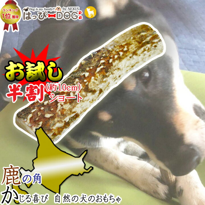 ＼5%OFFクーポン／ 【1000円ポッキリ】 鹿の角 鹿 角 半割 北海道 国産 鹿角 犬のおもちゃ 犬 いぬ イ..