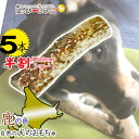 【5本セット】 鹿の角 鹿 角 半割 北海道 国産 鹿角 犬のおもちゃ 犬 いぬ イヌ 犬用 噛む おもちゃ おやつ ドッグガム デンタルケア 歯磨き デンタル...