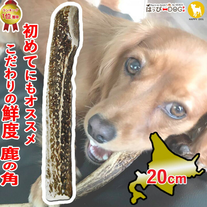 喰いつきが凄い 天然 犬のおもちゃ 北海道産 鹿の角 犬 おもちゃ [20cm 中型犬 小型犬] 鹿角 鹿 角 半割ロング 北海道 国産 犬 いぬ イヌ 犬用 噛む おやつ ドッグガム デンタルケア 歯磨き デ…