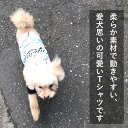 犬 服 犬服 犬の服 【はっぴーDOG】 ショート丈 フルーツ柄 スイカ バナナ チェリー カットソー Tシャツ 袖あり長袖 半袖 【春 夏 春夏 春服 夏服 春物 夏物 夏用】【男の子 小型犬 中型犬】 2