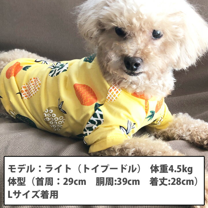 犬 服 犬服 犬の服 ドッグウェア フルーツ柄 Tシャツ アロハ 【秋冬 秋 冬 秋用 冬用 秋服 冬服 可愛い おしゃれ いぬ ペット ペット服 男の子 女の子 洋服】