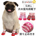 靴下 犬用 ルームソックス 滑り止め ユニオンジャック 犬 服 犬服 犬の服 【はっぴーDOG】 PUPPIA パピア 正規品【男の子 小型犬 中型犬】 プチプ...