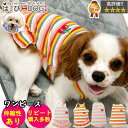犬 服 ワンピース 春 かわいい 女の子 犬服 いぬ 犬の服 袖なし 袖無し 涼しい キャミソール フルーツ柄 ボーダー フリル ふりふり さくらんぼ 【春 夏...