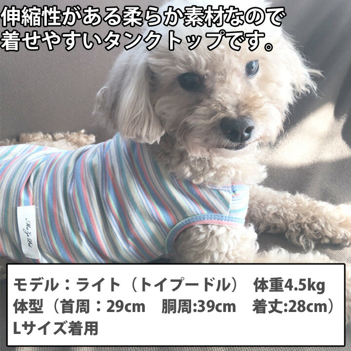 【割引SALE】 【1000円ポッキリ】犬 服 犬服 いぬ 犬の服 暖かい タンクトップ 着せやすい 袖なし 袖無し ボーダー カラフル ドッグウェア ショート丈 【秋 冬 秋冬 秋服 冬服 秋物 冬物 冬用】【男の子 小型犬 中型犬】