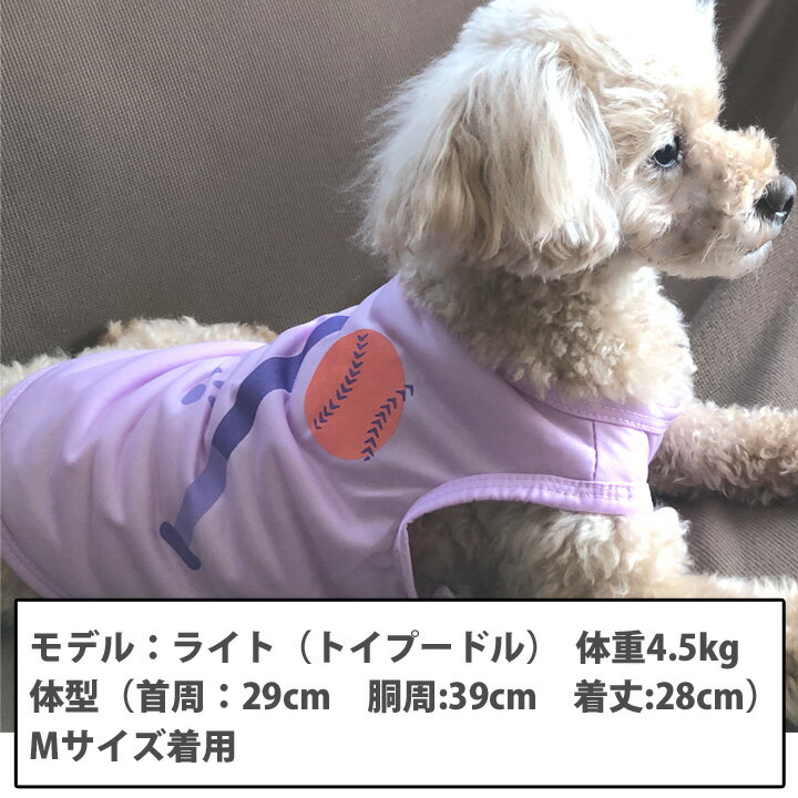 【ワンコイン500円】犬 服 犬服 いぬ 犬の服 タンクトップ 袖なし 袖無し USA 星条旗 ドッグウェア 【春 夏 春夏 春服 夏服 春物 夏物 夏用】【男の子 小型犬 中型犬】