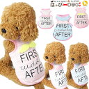 犬 服 犬服 犬の服 【はっぴーDOG】 タンクトップ 袖なし ノースリーブ 袖無し 薄手 羽付き 天使 ショート丈 【春 夏 春夏 春服 夏服 春物 夏物 夏...