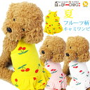 【300円クーポン】 犬 服 ワンピース 春 かわいい 女の子 ふりふり 犬服 いぬ 犬の服 フルーツ柄 袖なし 袖無し 涼しい キャミソール 【春 夏 春夏 春服 夏服 春物 夏物 夏用】【中型犬 サイズ】