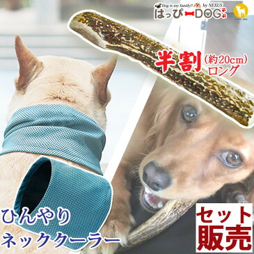 【セット販売】 クールネック 鹿の角 半割ロング 鹿角 鹿 角 犬 服 犬服 犬の服 クールスカーフ ひんやり バンダナ 【送料無料】【秋 冬 秋冬 冬服 毛抜け防止 毛落ち防止 おしゃれ 可愛い 女の子 男の子 トイプードル チワワ 洋服】