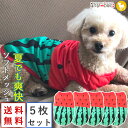 【5枚セット】トイプードル 犬 服 犬服 犬の服 【はっぴーDOG】 着せやすい タンクトップ 袖なし ノースリーブ 袖無し フルーツ柄 スイカ メッシュ 涼し...