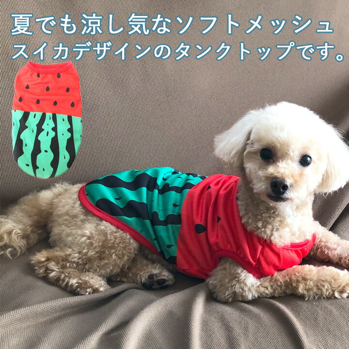 トイプードル 犬 服 犬服 いぬ 犬の服 着せやすい タンクトップ 袖なし 袖無し フルーツ柄 スイカ メッシュ 涼しい クール ドッグウェア 【春 夏 春夏 春服 夏服 春物 夏物 夏用】