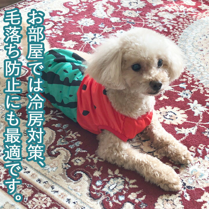 トイプードル 犬 服 犬服 いぬ 犬の服 着せやすい タンクトップ 袖なし 袖無し フルーツ柄 スイカ メッシュ 涼しい クール ドッグウェア 【春 夏 春夏 春服 夏服 春物 夏物 夏用】