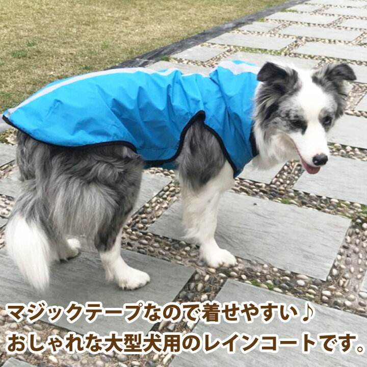 犬 服 犬服 いぬ 犬の服 大型犬 レインコート カッパ かっぱ 着せやすい マジックテープ ドッグウェア 【秋 冬 秋冬 冬服】【男の子 小型犬 中型犬】